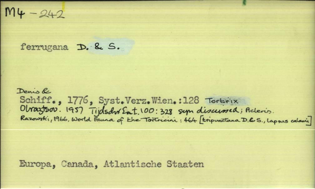 front of card